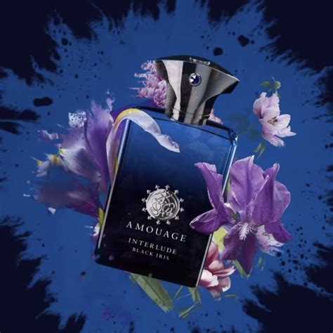 amouage interlude vs black iris.